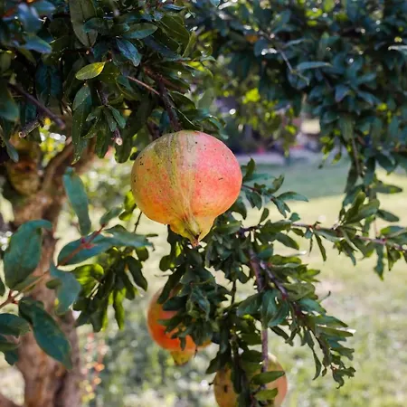 Appartamento A Casa Di Sara Tivoli